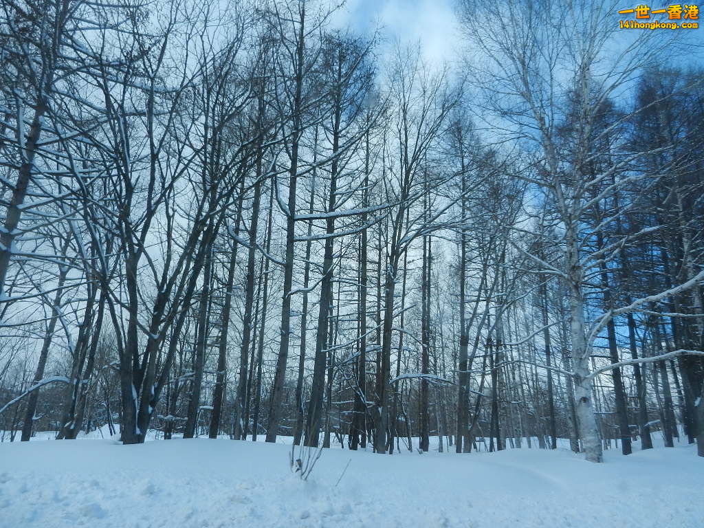 DSCN4253.JPG