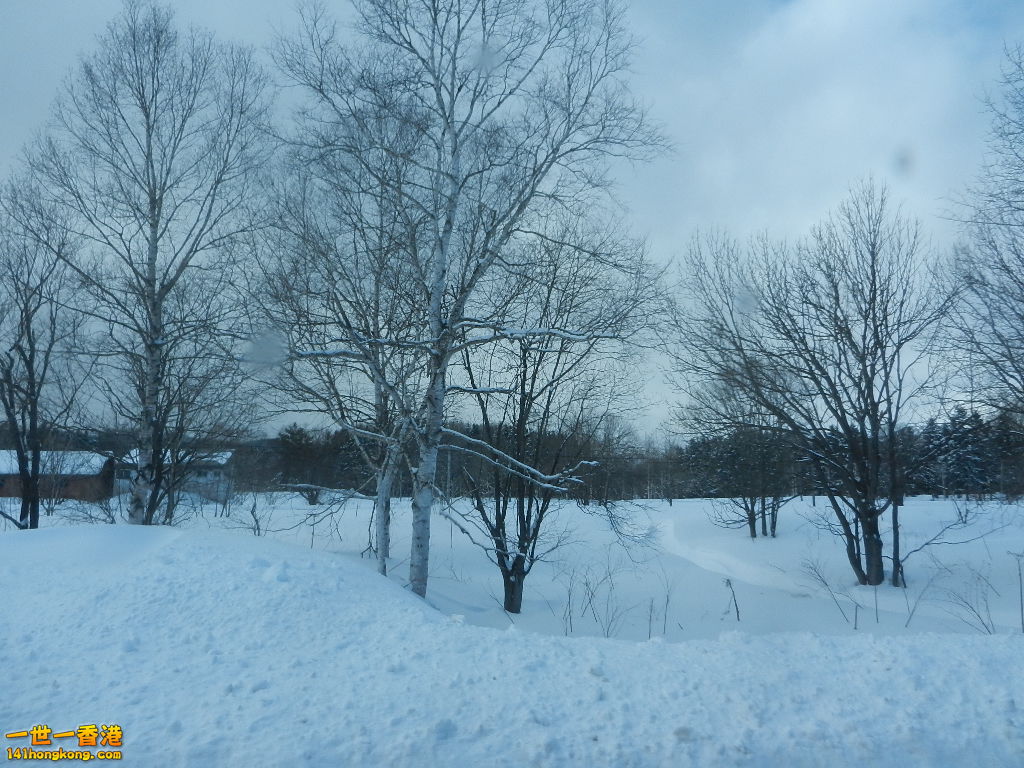 DSCN4252.JPG