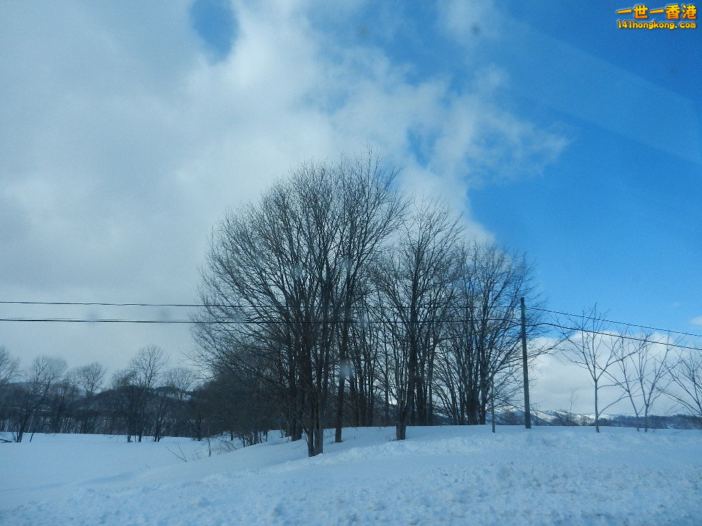 DSCN4254.JPG