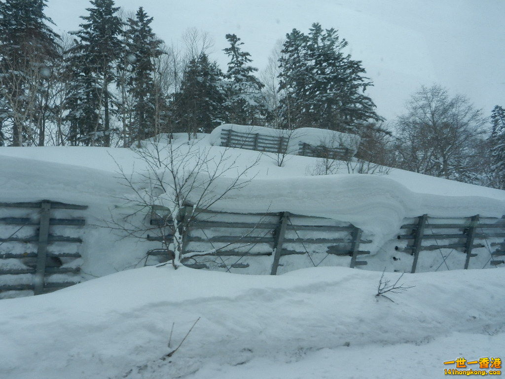 DSCN4308.JPG