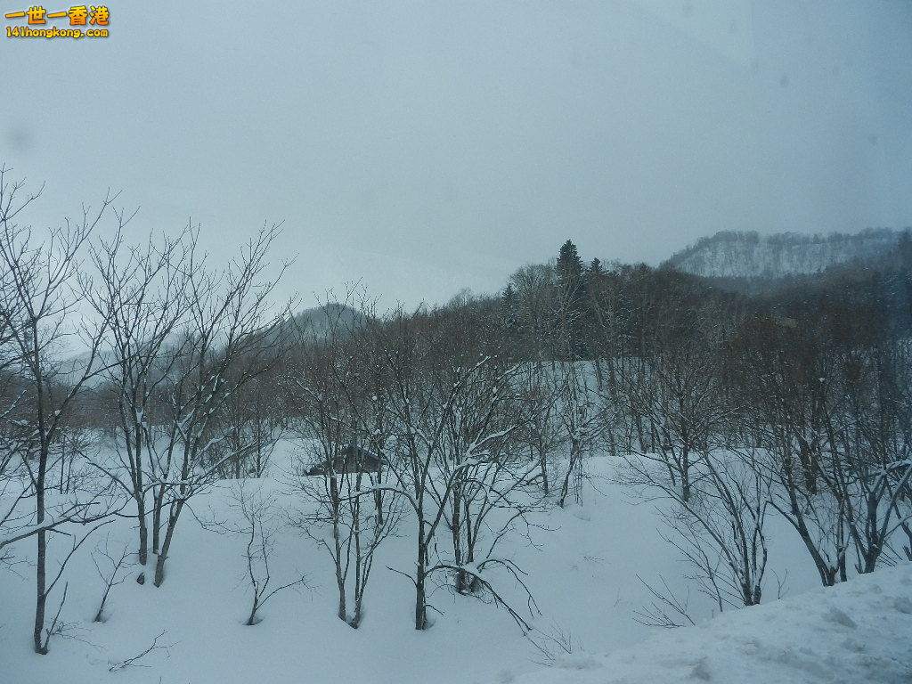 DSCN4316.JPG