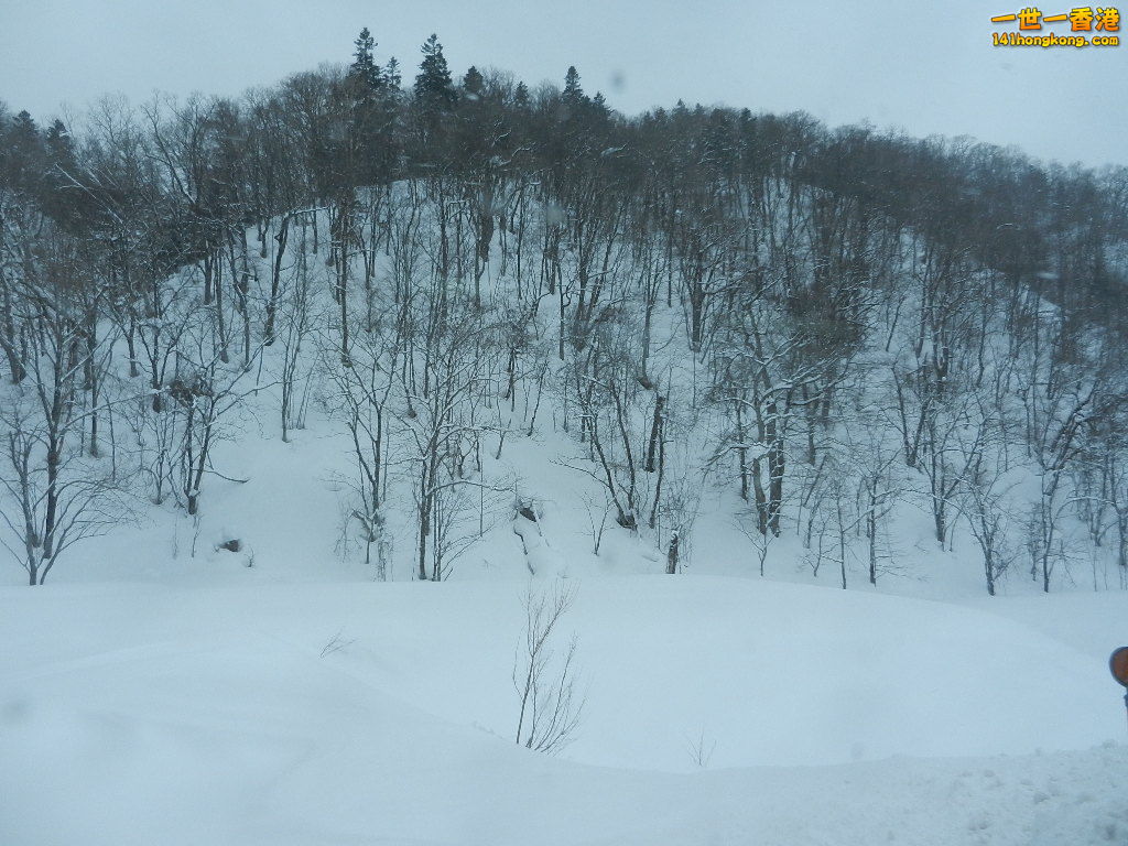 DSCN4322.JPG