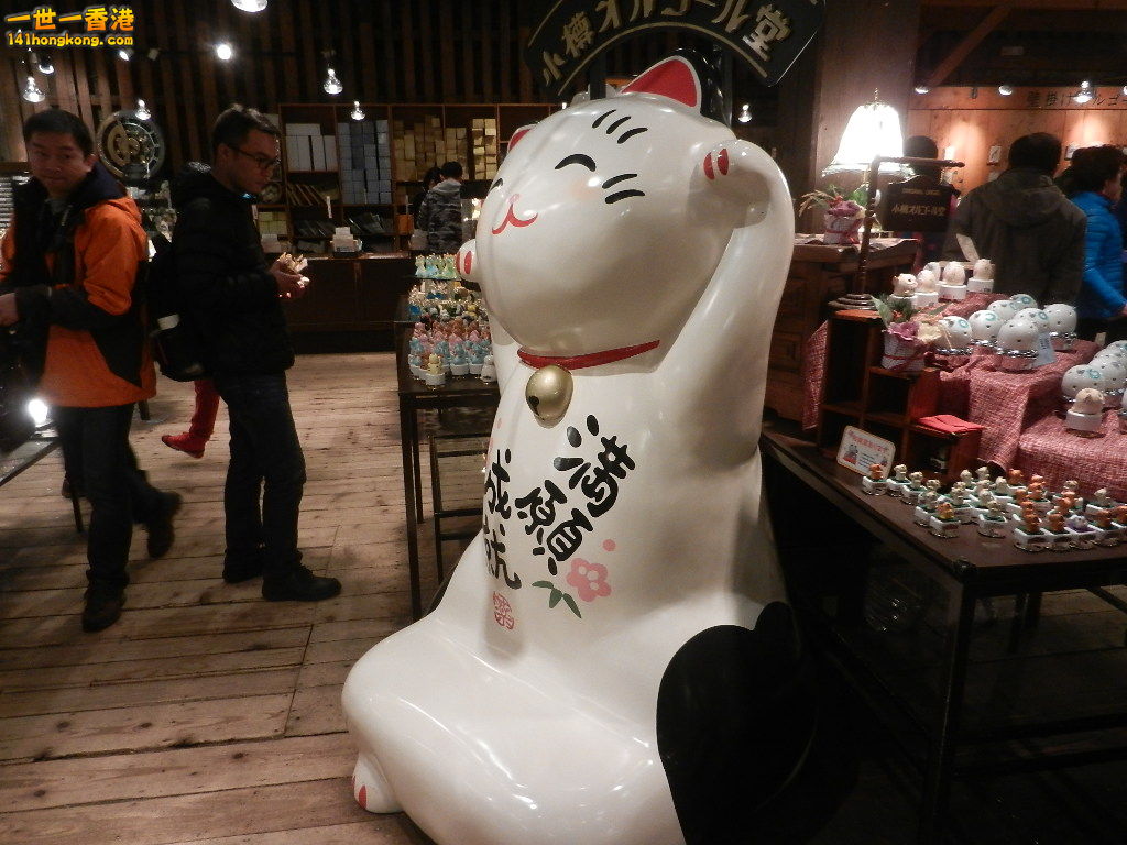 DSCN4617.JPG