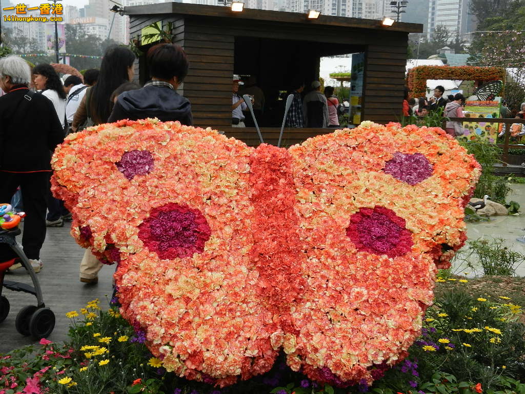 DSCN5440.JPG