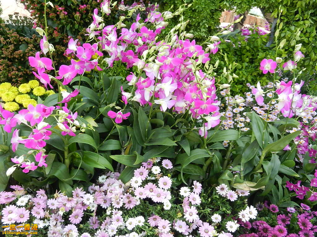 DSCN3825.JPG