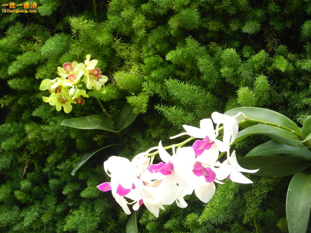 DSCN3848.JPG