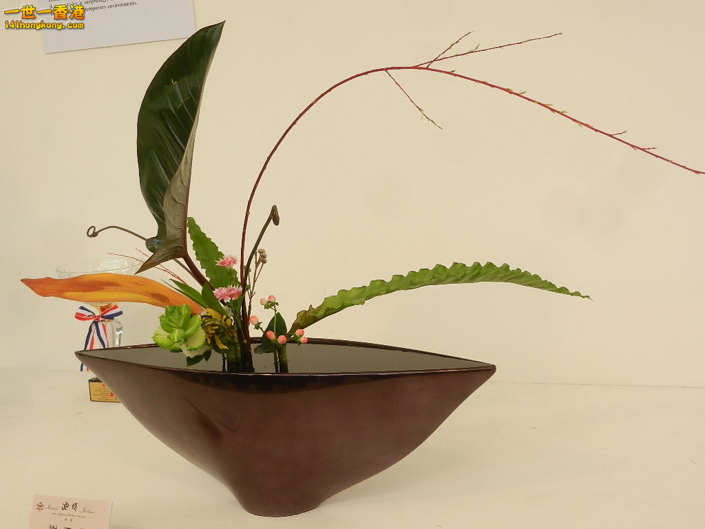 DSCN8585.JPG
