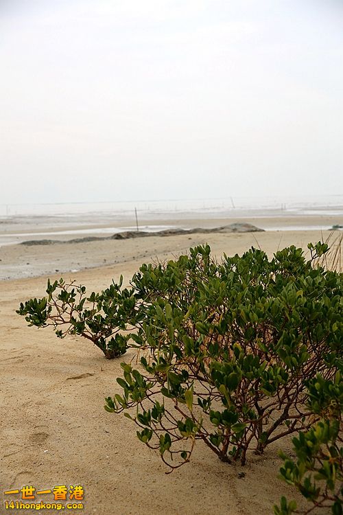 3P1A8217.JPG