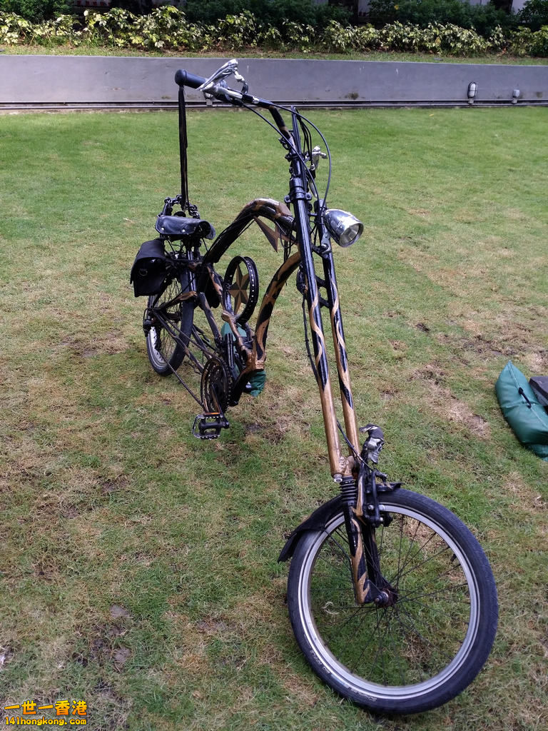 20141106_104911.jpg