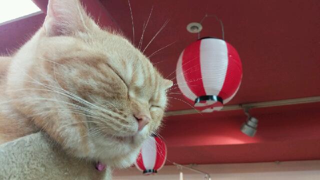 20140811_170955.jpg