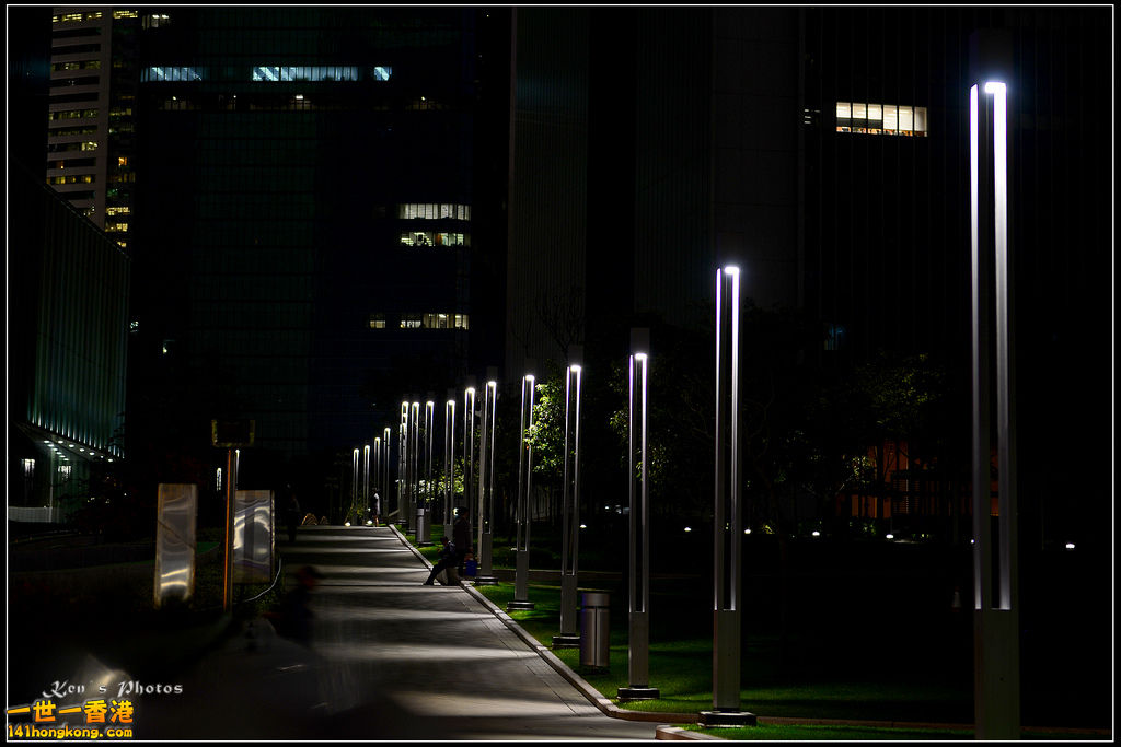 龍和道夜景1016.jpg