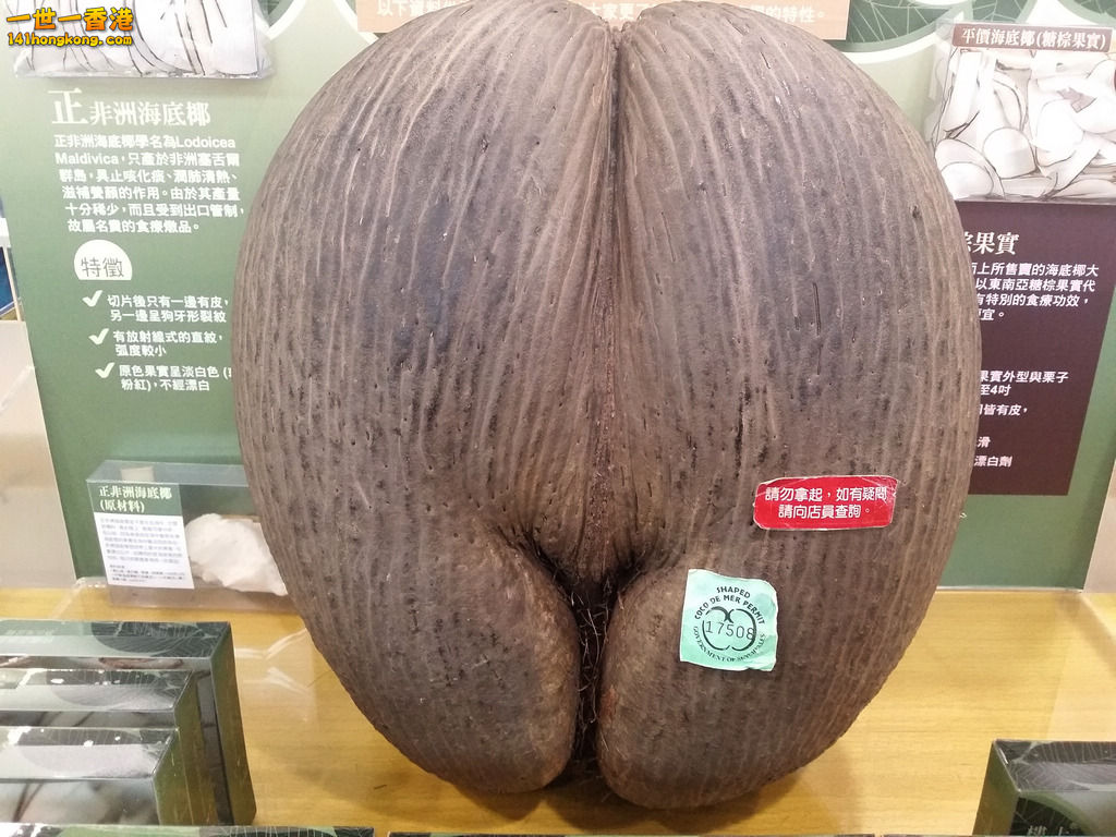 20150124_181102.jpg