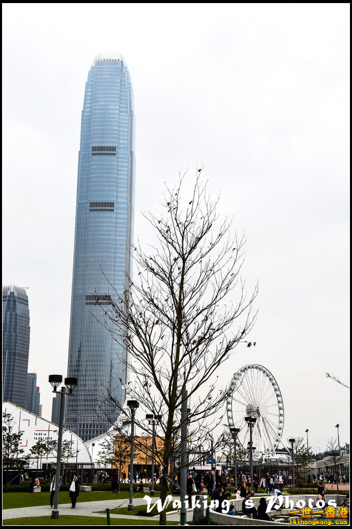 150314 Central - 0005.jpg