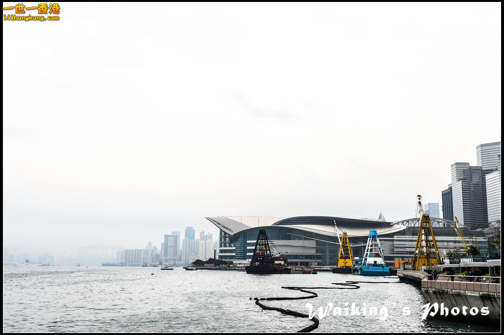 150314 Central - 0007.jpg