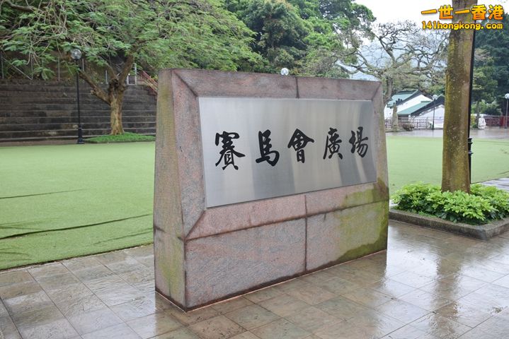DSC_0129.JPG