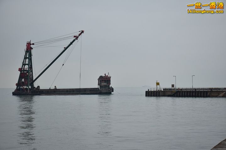 DSC_0137.JPG