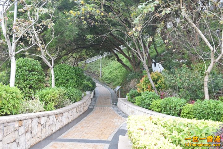 DSC_0144.JPG