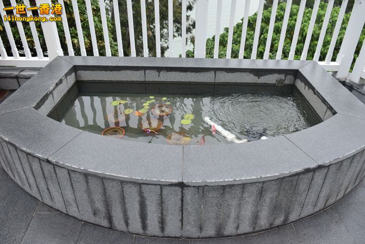 DSC_0158.JPG