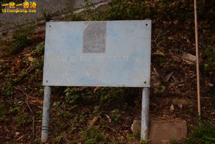 DSC_0162.JPG