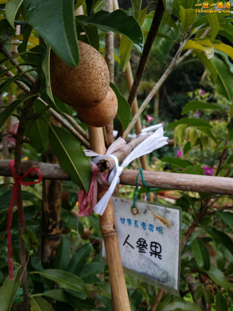 20150216_095746.jpg