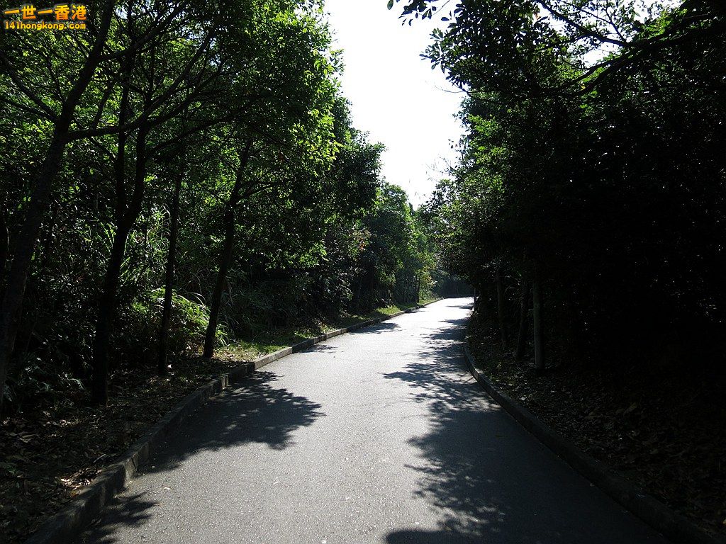 IMG_6060.JPG