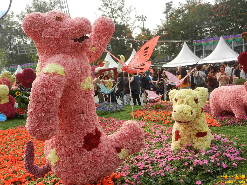 DSCN4668.JPG