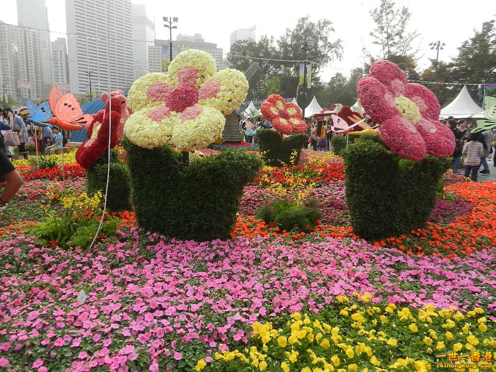 DSCN4667.JPG