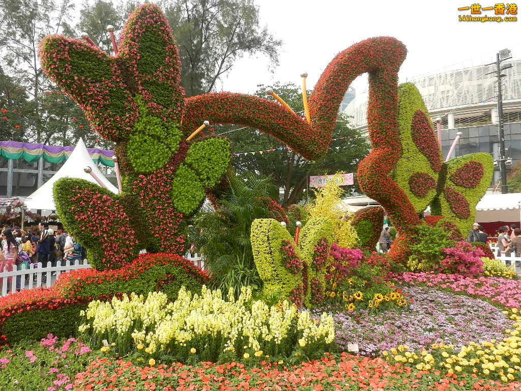 DSCN4675.JPG