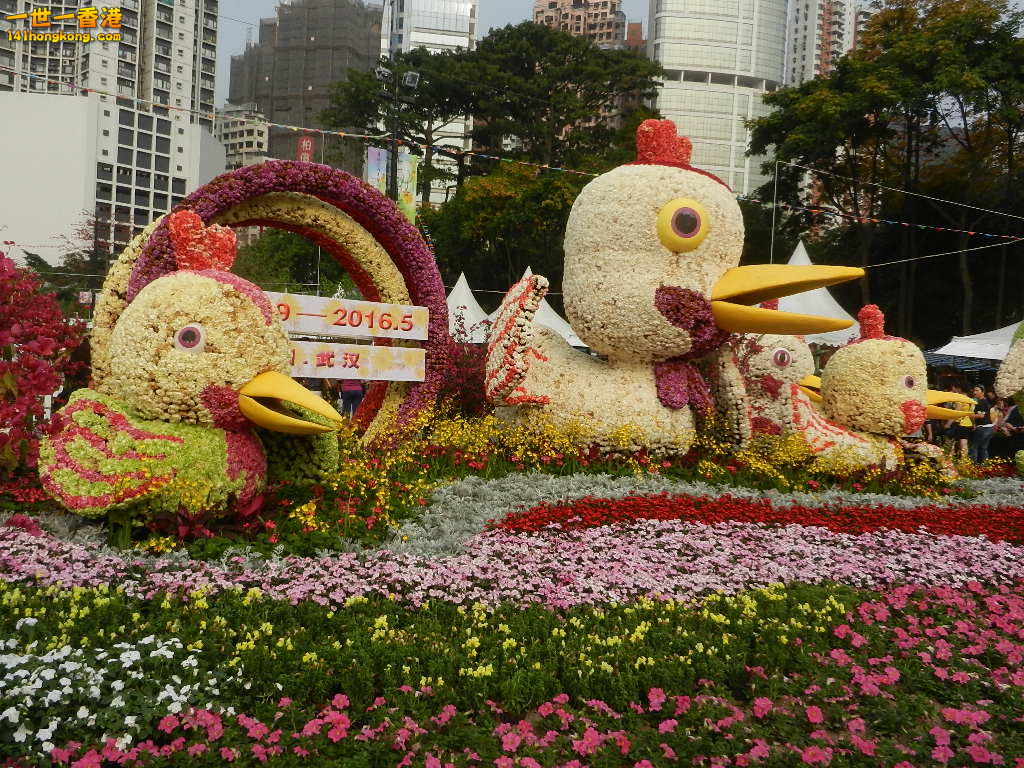 DSCN4687.JPG
