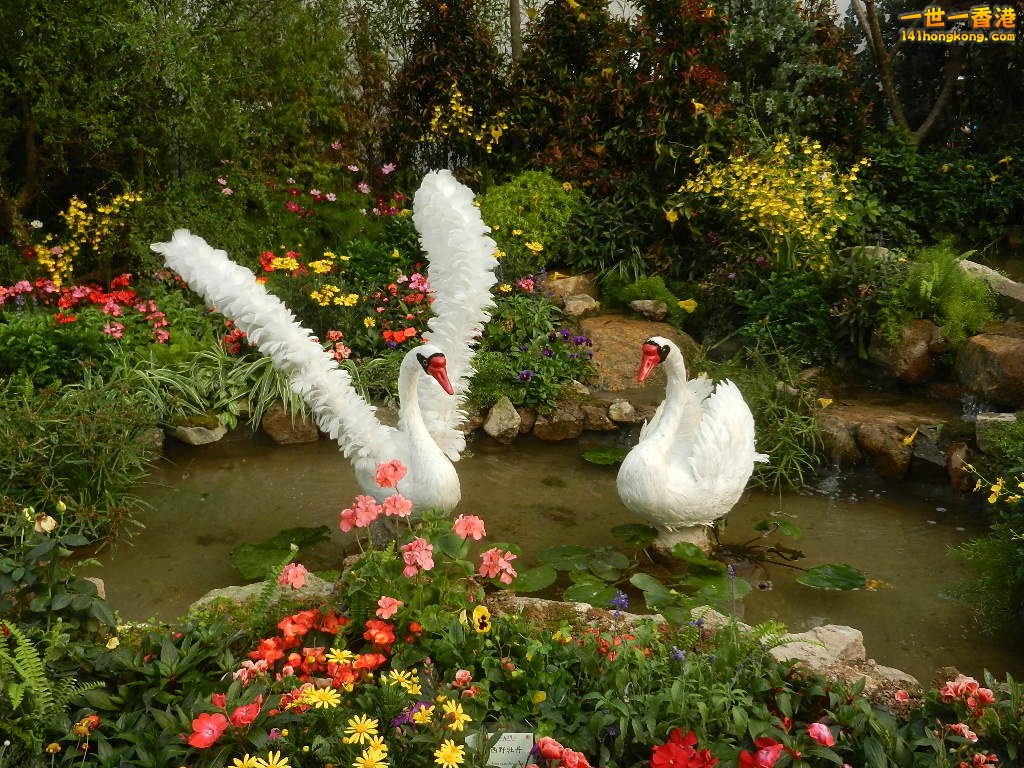 DSCN4691.JPG