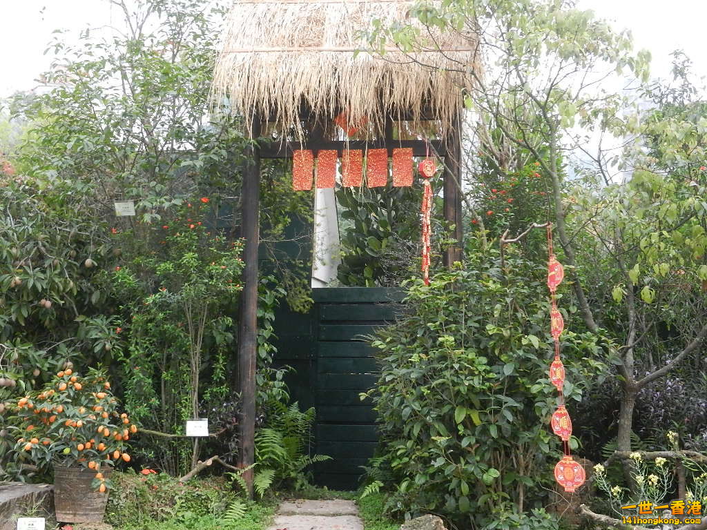 DSCN4773.JPG