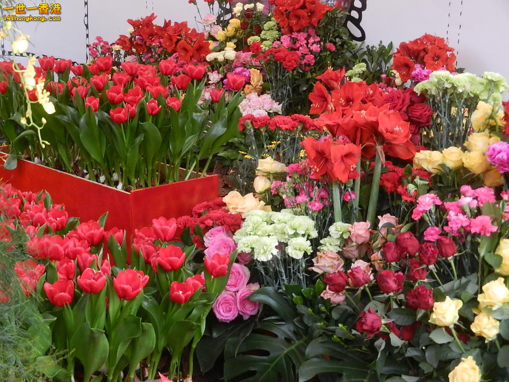 DSCN4710.JPG