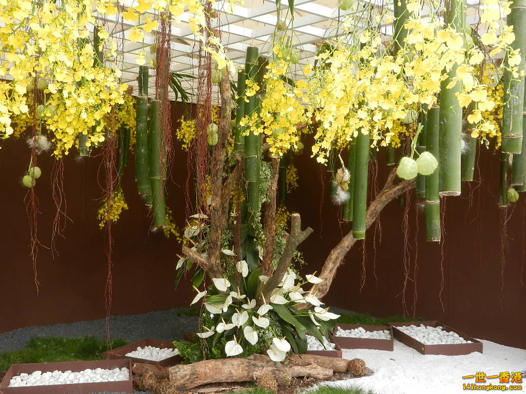 DSCN4713.JPG