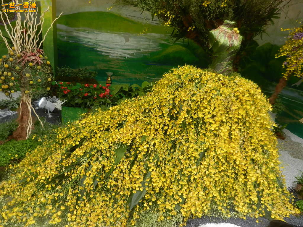 DSCN4726.JPG