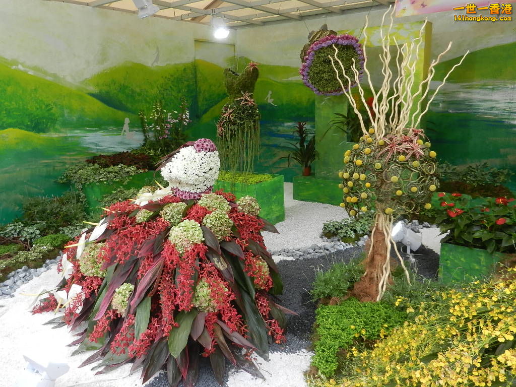 DSCN4727.JPG
