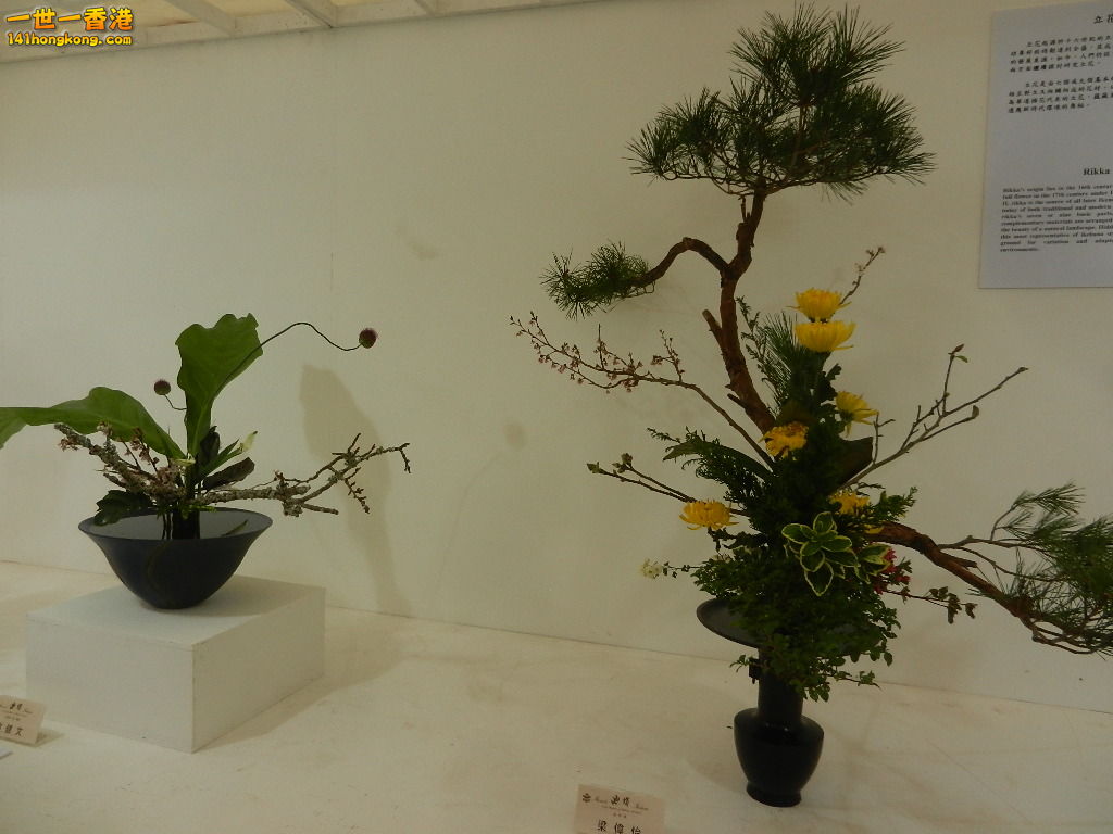 DSCN4729.JPG