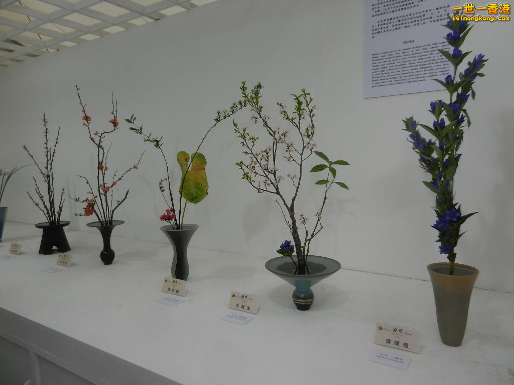 DSCN4731.JPG