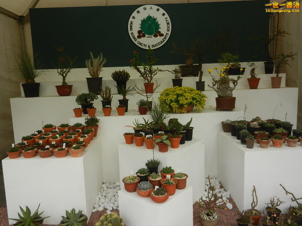 DSCN4733.JPG