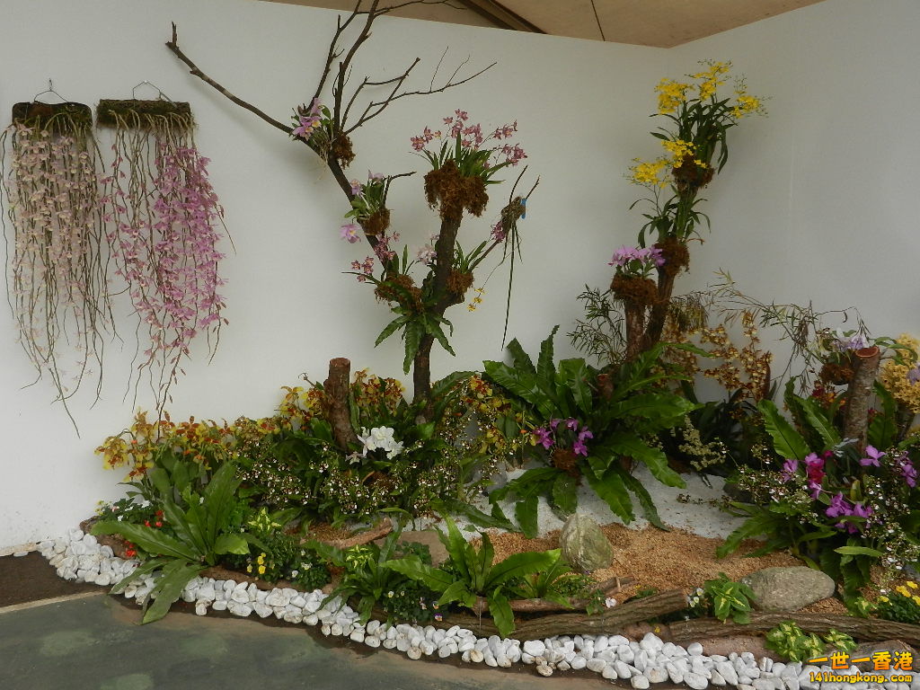 DSCN4736.JPG