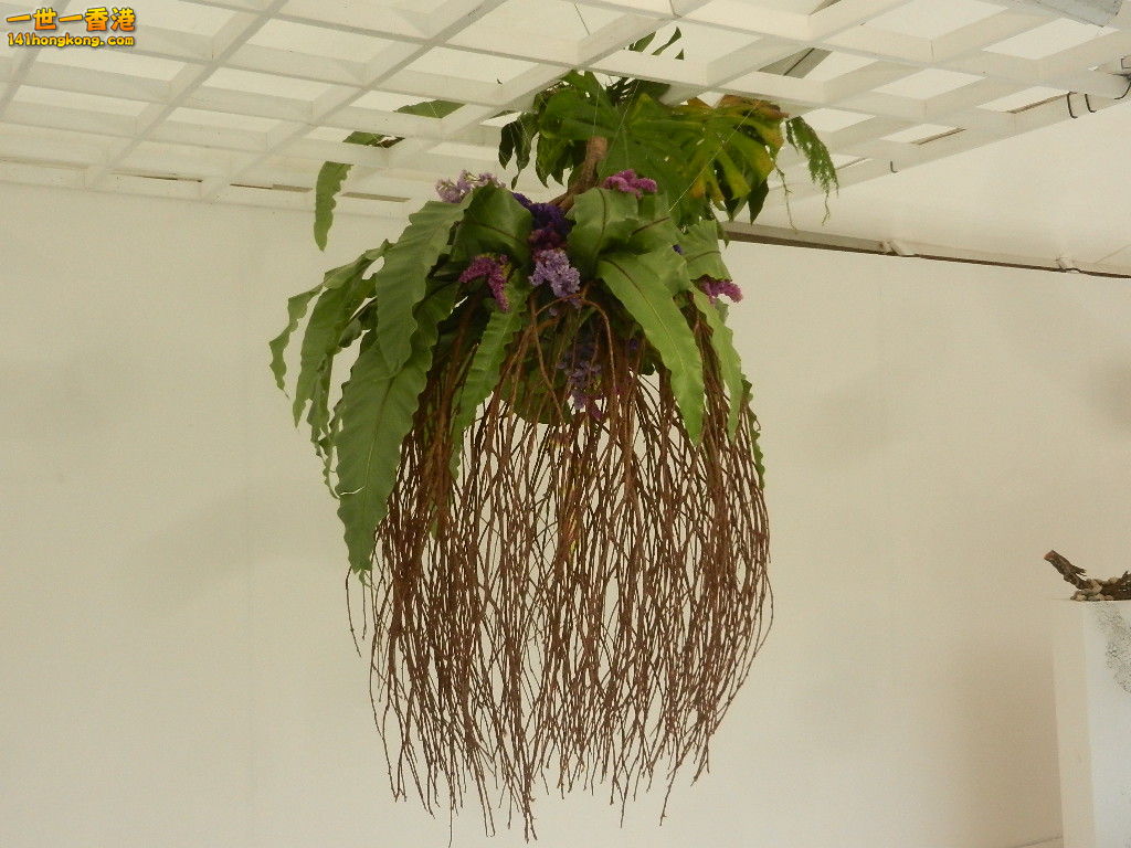 DSCN4762.JPG