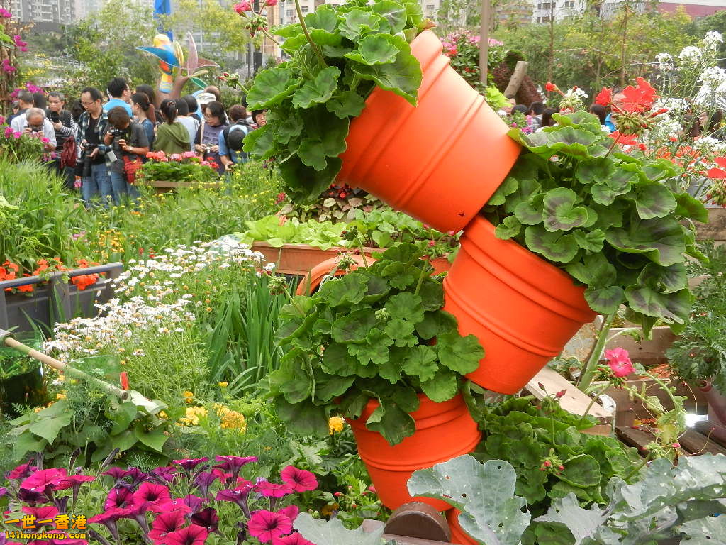 DSCN4766.JPG