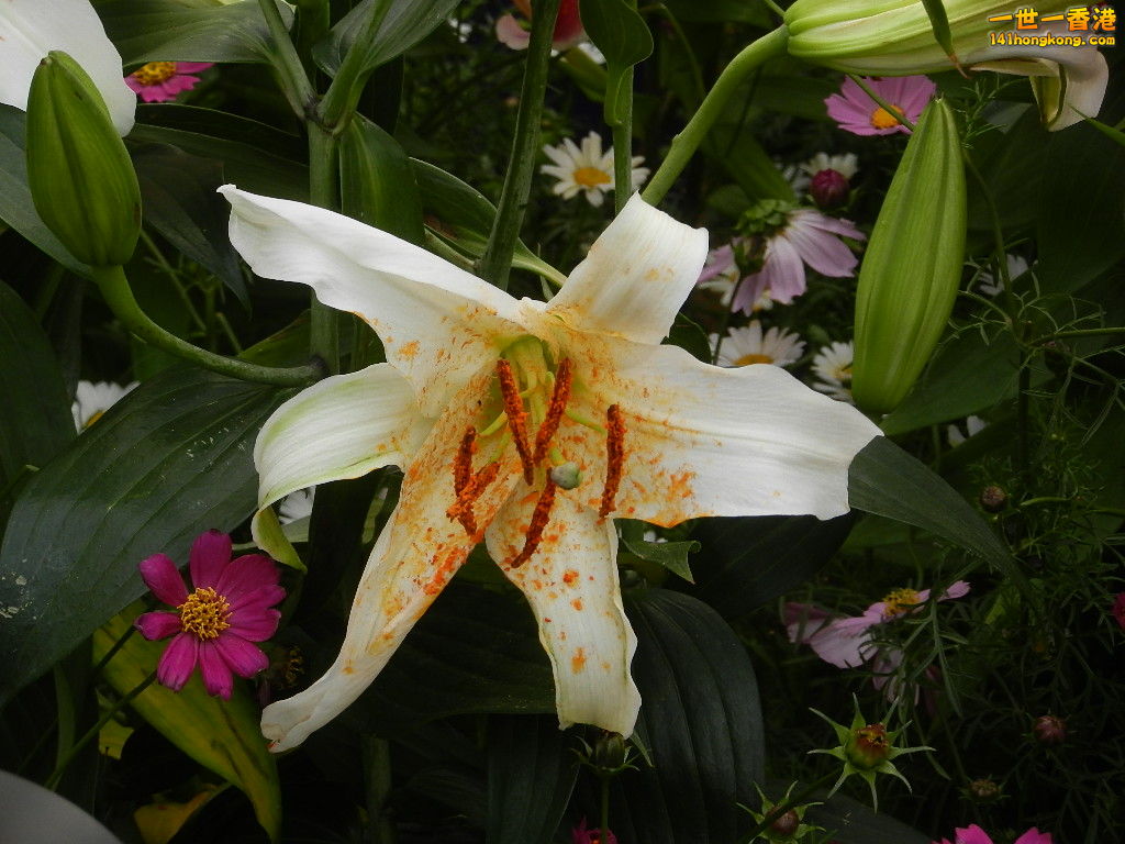 DSCN4757.JPG