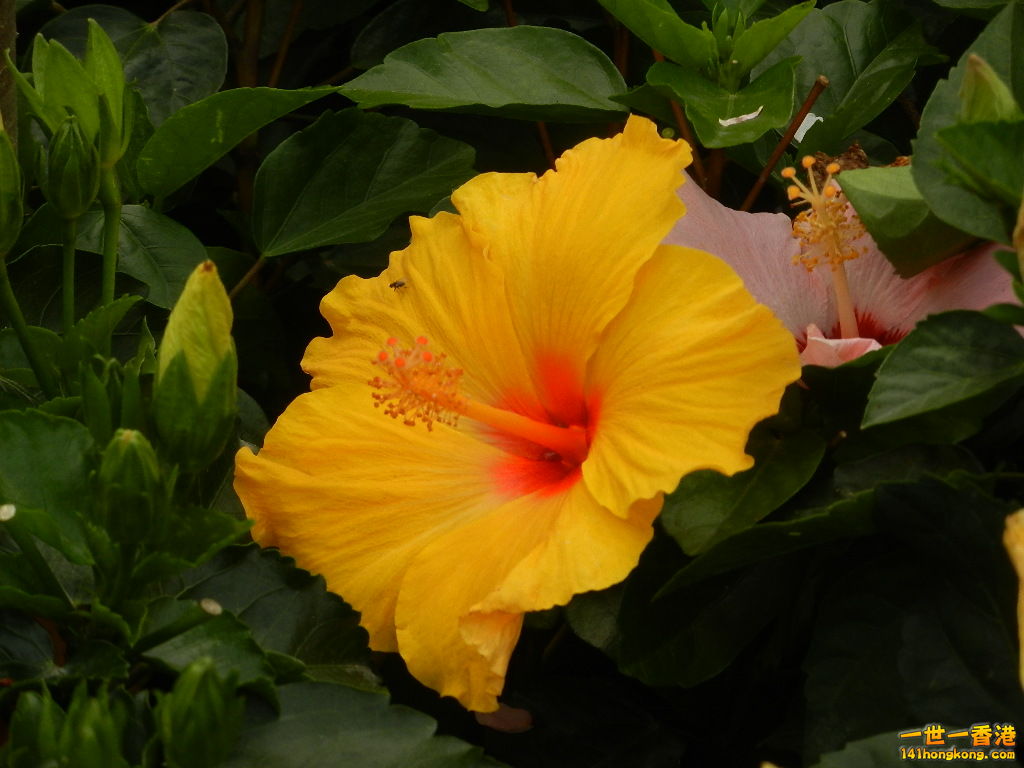 DSCN4756.JPG