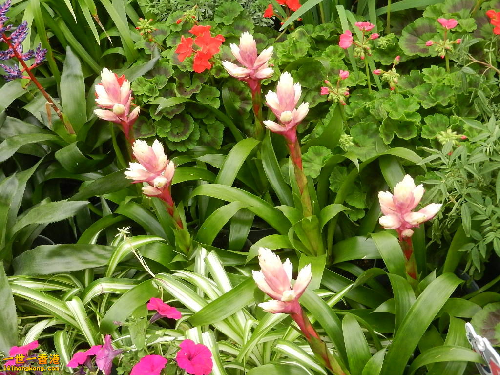 DSCN4763.JPG