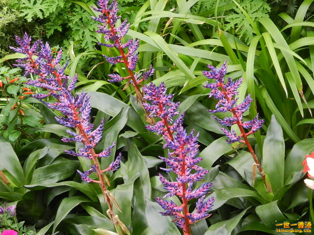 DSCN4764.JPG