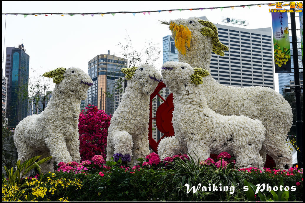 150320 Flower Show - 0031.jpg