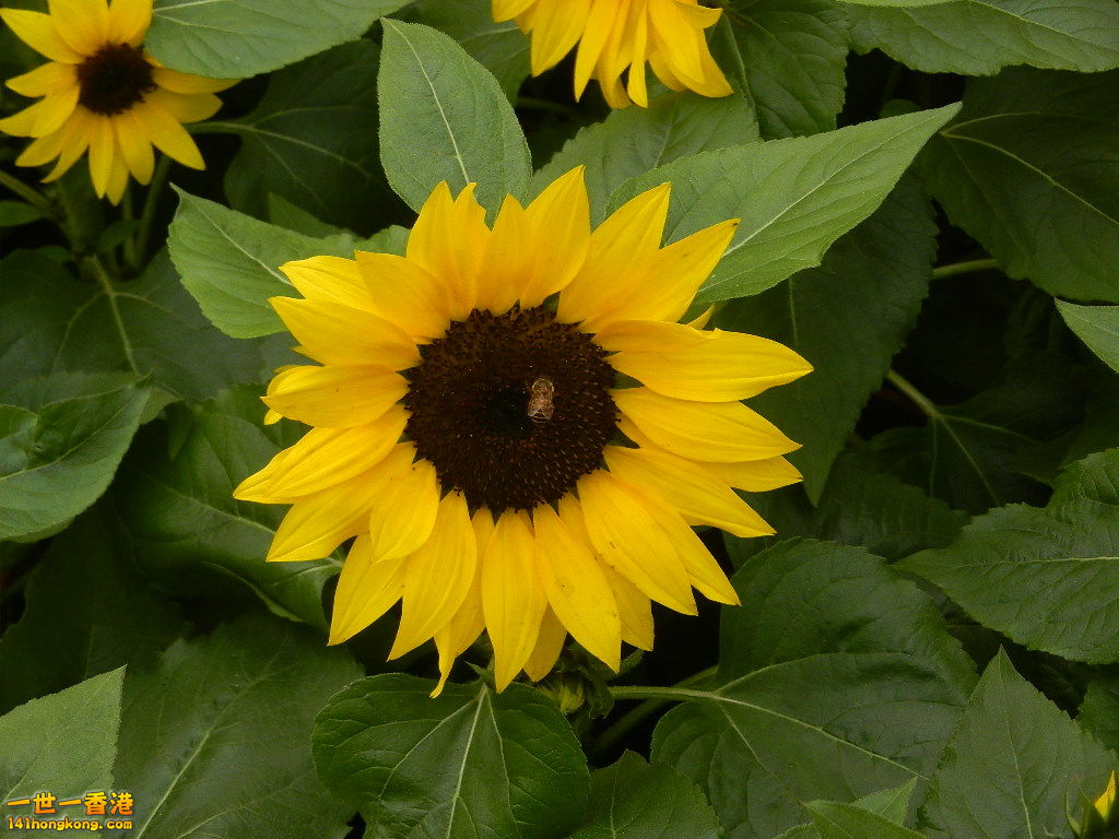 DSCN4751.JPG