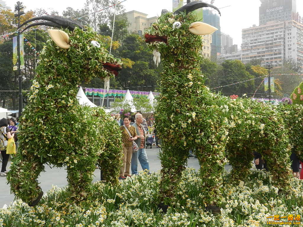 DSCN4674.JPG