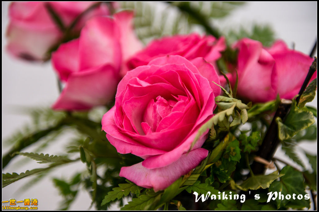 150321 Flower Show - 0075.jpg