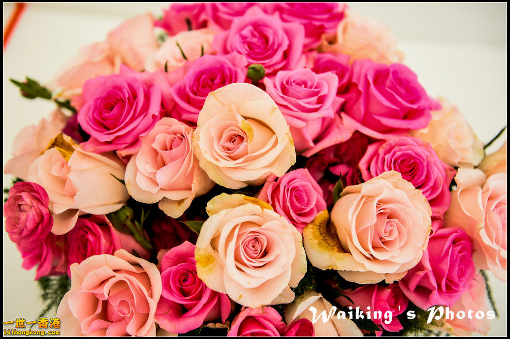 150321 Flower Show - 0079.jpg